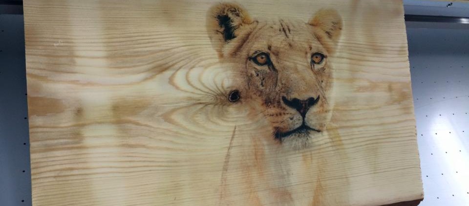 Holzdruck mit dem innovativen Direktdruck auf echtem Holz